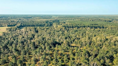 TBD Terrell's Bay Rd, Centenary, SC 29519 - photo 2