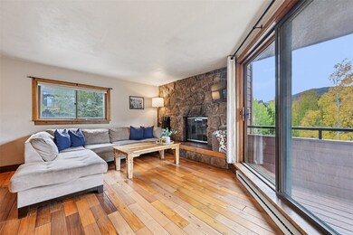 Living room with baseboard heating, light wood-type flooring, and a fireplace