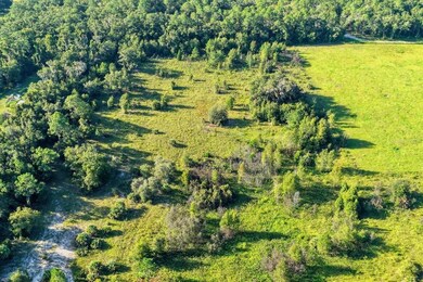 0 NE Highway 27 Alternate Route, Chiefland, FL 32626 - photo 7