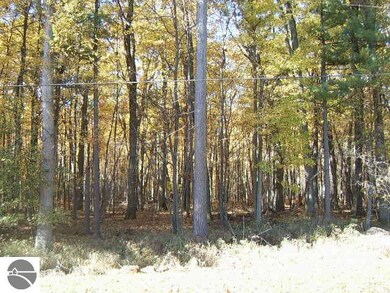 00 Rumsey Rd, Au Gres, MI 48703 - photo 5