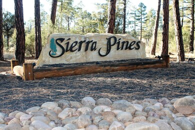 1870 S Pleasant View Dr, Show Low, AZ 85901 - photo 2