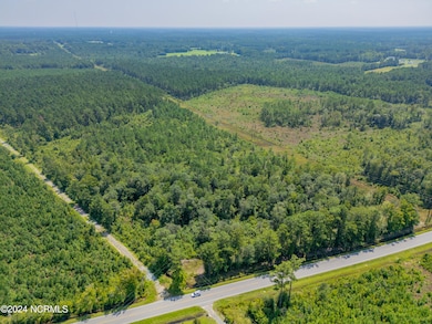 Near 949 General Howe, Riegelwood, NC 28456 - photo 4