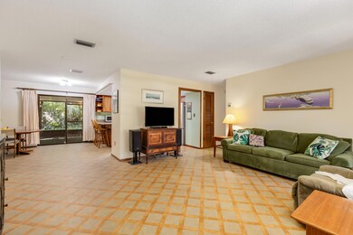 31_313Banyan223_mls