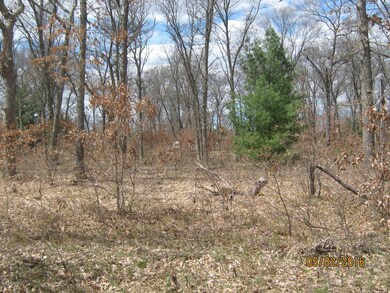 0 Peacock Trail Parcel ''A'', Baldwin, MI 49304 - photo 2