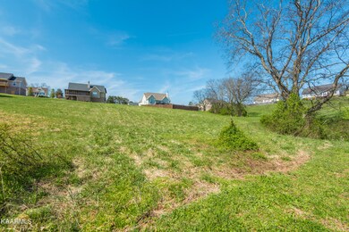 2119KingViewLoop-5