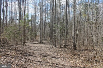 0 Governors Point Ln unit 1002371518, Unionville, VA 22567 - photo 6