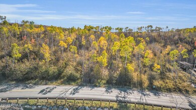 5-web-or-mls-DJI_0012