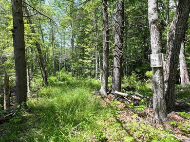 71 Jordan Ln, Turner, ME 04282 - photo 2