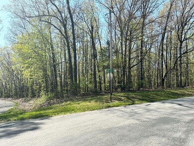 L42a & 43a Eaglecrest Rd, Cape Fair, MO 65624 - photo 4