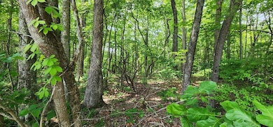 0 Yellow Cliff Rd unit 237124, Jamestown, TN 38556 - photo 3