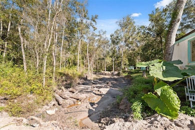 0 Neff Lake Rd, Brooksville, FL 34601 - photo 7