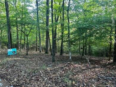 View of local wilderness featuring a view of trees