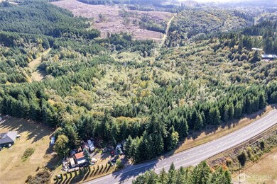 0 Lots 1-7 Spirit Lake Hwy, Castle Rock, WA 98611 - photo 3