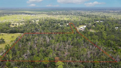 TBD Strickland Landing Dr, Perry, FL 32348 - photo 7