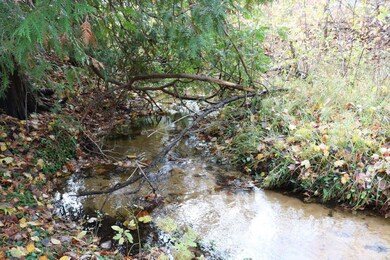 Creek