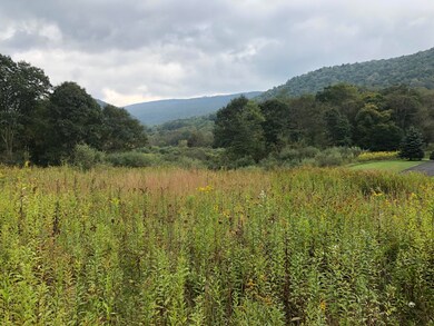 Lot 21