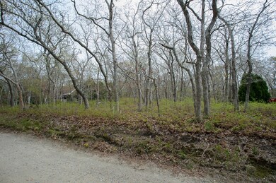 27 7th St N, Edgartown, MA 02539 - photo 6