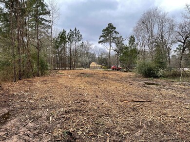 26410 Big Oak Ln, Magnolia, TX 77354 - photo 2