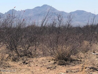 natural vegetation