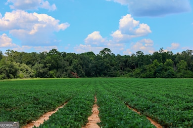 0 Nantze Springs Rd, Arlington, GA 39813 - photo 3