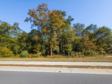 0 E Washington Ave, Ashburn, GA 31714 - photo 7