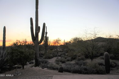Desert