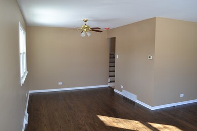 3521 191st Place, Lansing, IL 60438 - photo 5