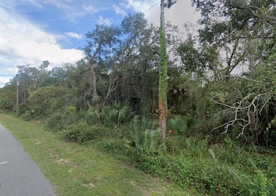 Lot 18 Dunsmuir Rd, North Port, FL 34288 - photo 2