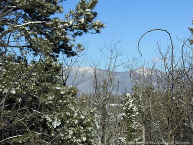 191 Smith and Wesson Rd, Como, CO 80432 - photo 3