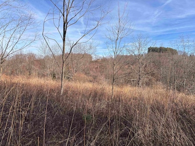 TBD Barbour County Hwy, Philippi, WV 26416 - photo 6