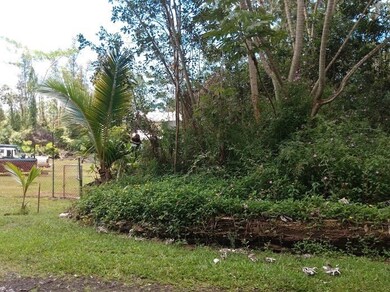 Lot 3-1-4-75-61 on the left side of the fence