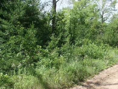 435* Pine St, Harrison, MI 48625 - photo 3