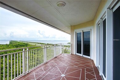 Gorgeous views of the mangroves and Tampa Bay from