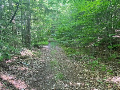 0 Old Rindge Rd unit 16-029-000 4916615, Fitzwilliam, NH 03447 - photo 2