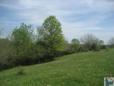 1415 Baxter Ridge Rd, Lawrenceburg, KY 40342 - photo 5