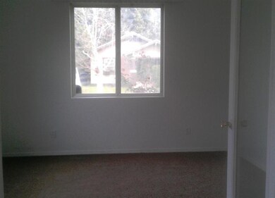 LIVING ROOM WINDOW 1