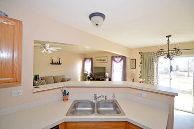 25747 S Red Stable Ln unit 2, Channahon, IL 60410 - photo 6