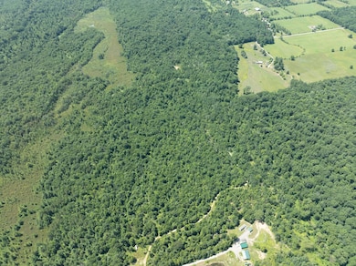 0 W Short Rd unit 25026044, Sanford, MI 48657 - photo 7