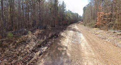 Chili Creek Road View (2)