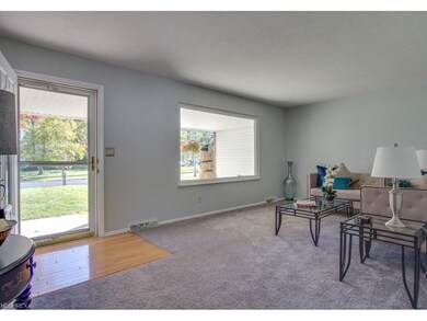 Living room is flooded with light.