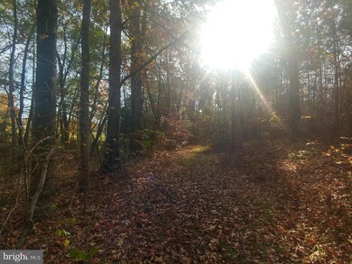 0 Carsons Corner unit 1000091757, Louisa, VA 23093 - photo 4