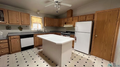 21 Windmill Cir, Datil, NM 87821 - photo 5