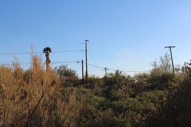 IMG_9601