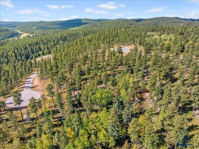 Lot 9 Other unit Meadow Wood Way, Lead, SD 57754 - photo 3