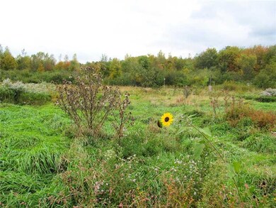 Land.