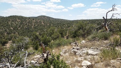 138 Arizona Rd, Ash Fork, AZ 86320 - photo 2