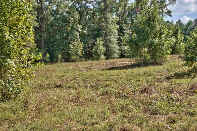 1201 Waterstone Dr, Madison, GA 30650 - photo 6