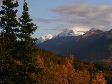 Views....of the MTNS