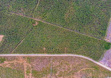 TBD Joyner Swamp Rd unit Lot 1A, Galivants Fry, SC 29544 - photo 6