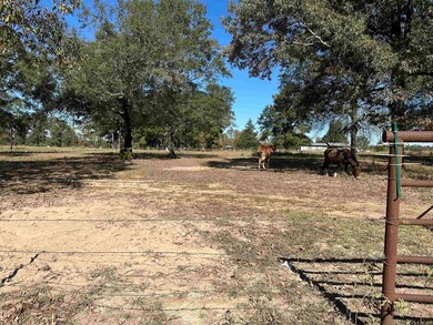 1630 Fm 593, Gilmer, TX 75644 - photo 4